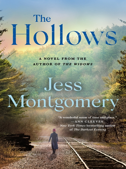 Title details for The Hollows by Jess Montgomery - Wait list